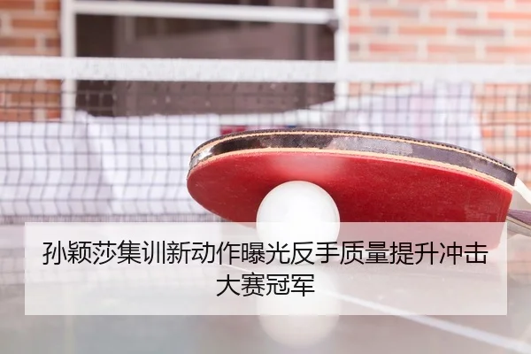孙颖莎集训新动作曝光反手质量提升冲击大赛冠军